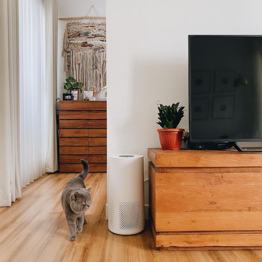 Can Air Purifier Make Little Ones Sleeps Better?