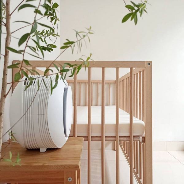 What Is The Best Air Purifier Criteria?