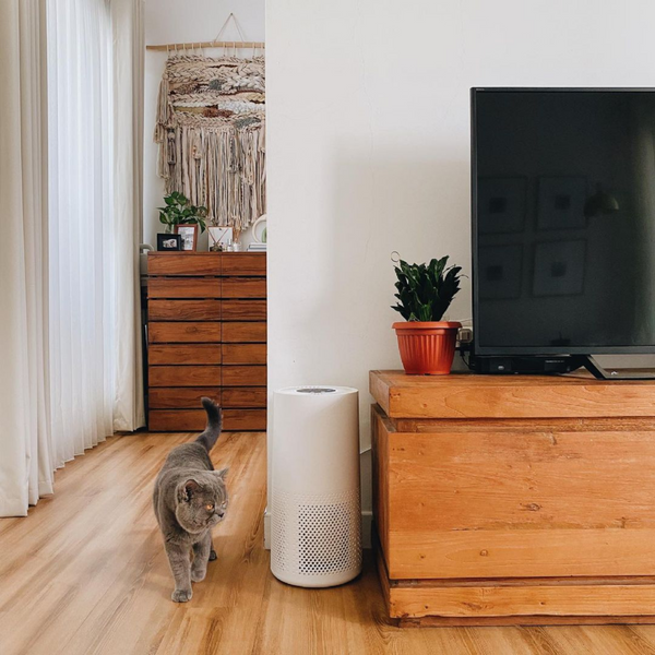 Penggunaan Air Purifier Bisa Membuat Si Kecil Tidur Lebih Nyenyak, Benarkah ?
